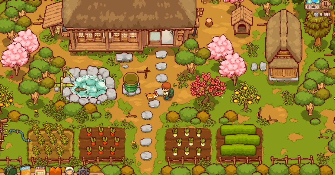 Top-down view of a Japanese rural house with garden, pond, blooming cherry trees, vegetable patches, and a doghouse.