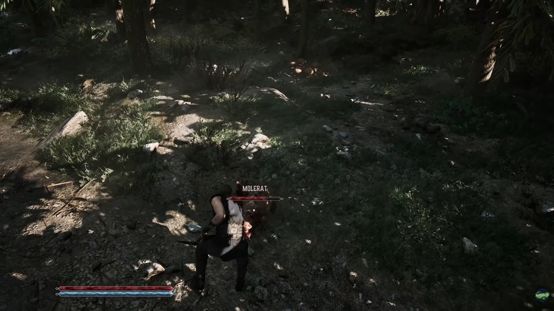 Gothic 1 Remake Mods: Spielfigur in dunkler Kleidung steht in einem bewaldeten Gebiet über einem verletzten oder besiegten Molerat mit rotem Gesundheitsbalken