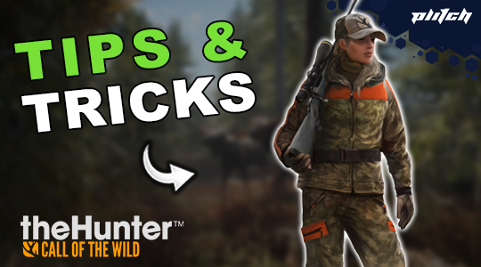 theHunter tips & tricks with person carrying a gun