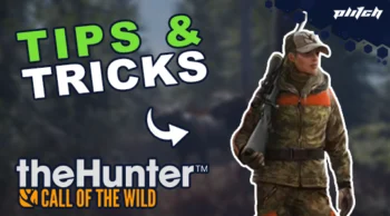 Person in camouflage clothing with orange safety vest holding a rifle, next to text 'TIPS & TRICKS' and the logo 'theHunter CALL OF THE WILD'.
