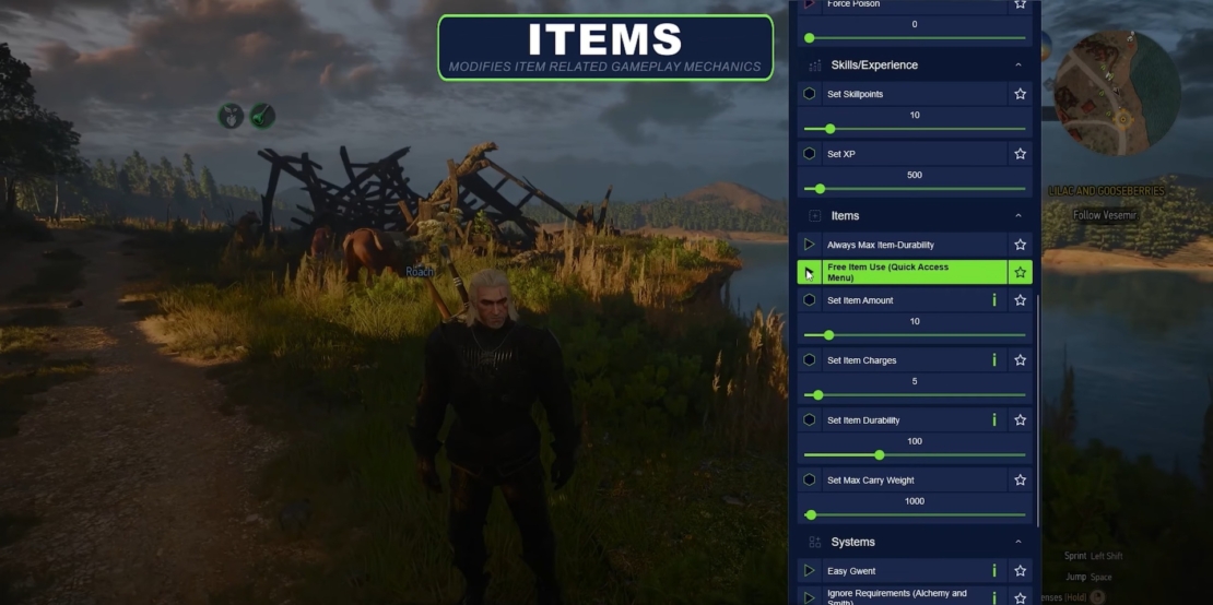 Gameplay scene from The Witcher 3 showing a character in dark clothing standing in a rural landscape with an item settings menu on the right side.