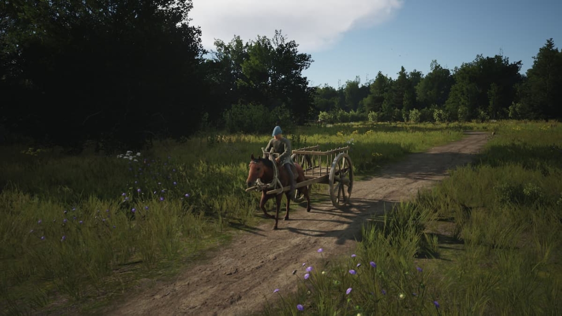 Man riding a horse pulling a wooden two-wheeled cart on a dirt path surrounded by grass and trees.