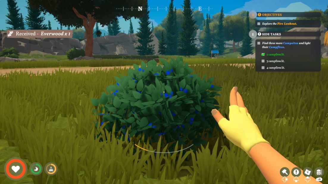 Close-up of a green berry bush in an open landscape with an outstretched hand wearing a yellow glove in the foreground