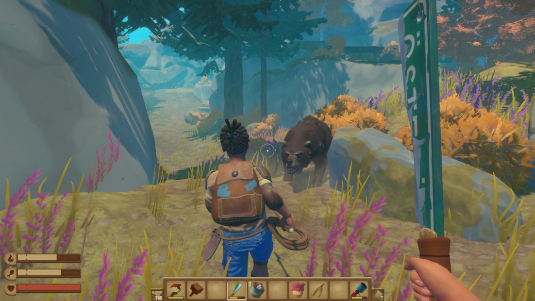 A person looking at a bear