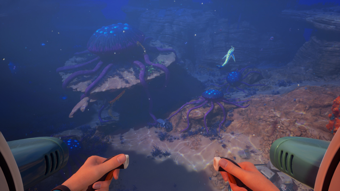 Underwater view showing two hands holding controls and several jellyfish above rocks in the sea