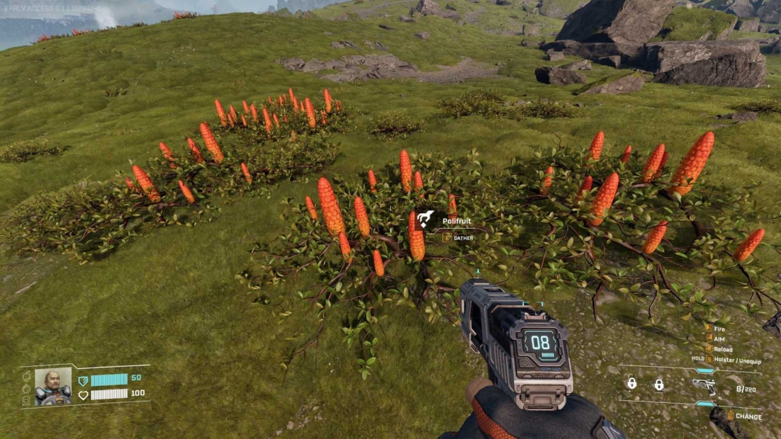 StarRupture Food: Polifruits. First-person view of a gun aimed at a group of orange elongated plants on grassy terrain.