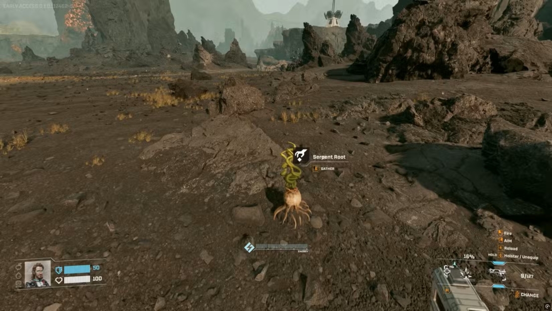 Wüstenlandschaft mit felsigem Boden und einer Spielfigur, die eine Pflanze namens Serpent Root untersucht.