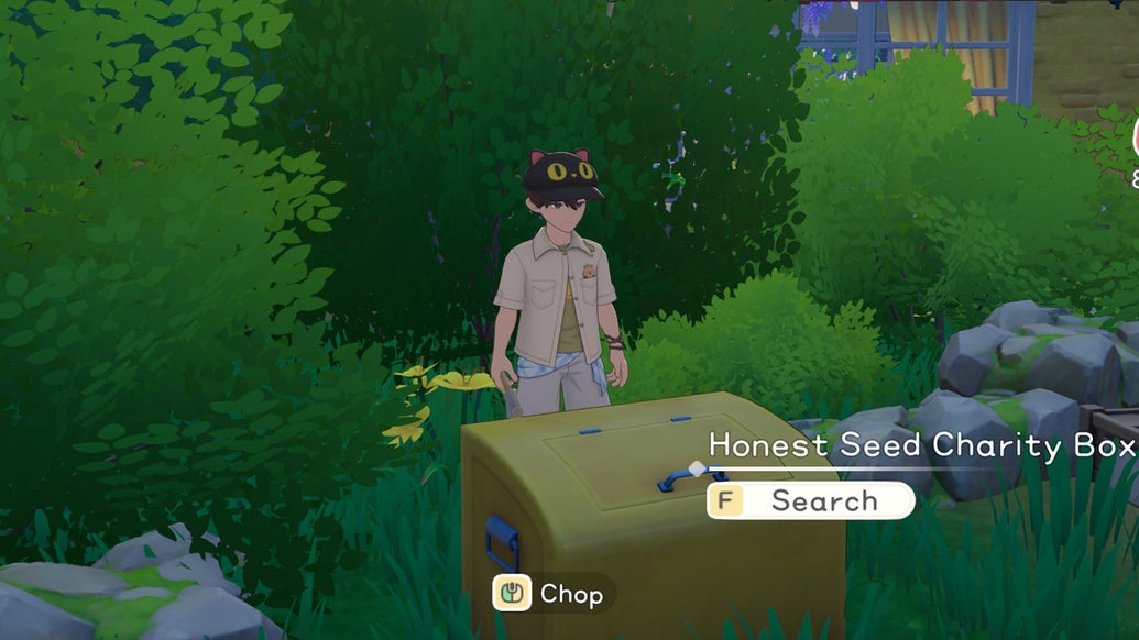 Person wearing a black cat hat stands in a green garden next to a yellow box labeled 'Honest Seed Charity Box' with options 'Search' and 'Chop'.