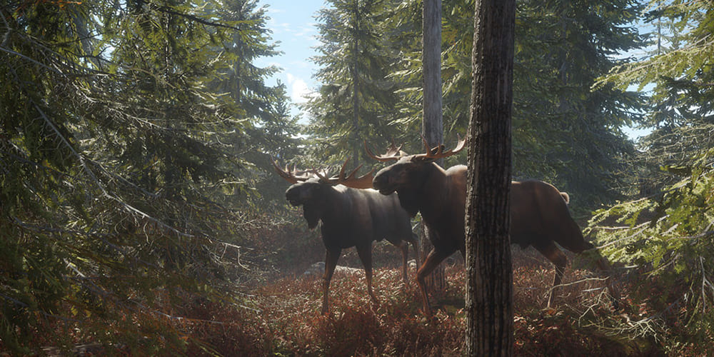 theHunter screenshot: zwei Elche im Wald