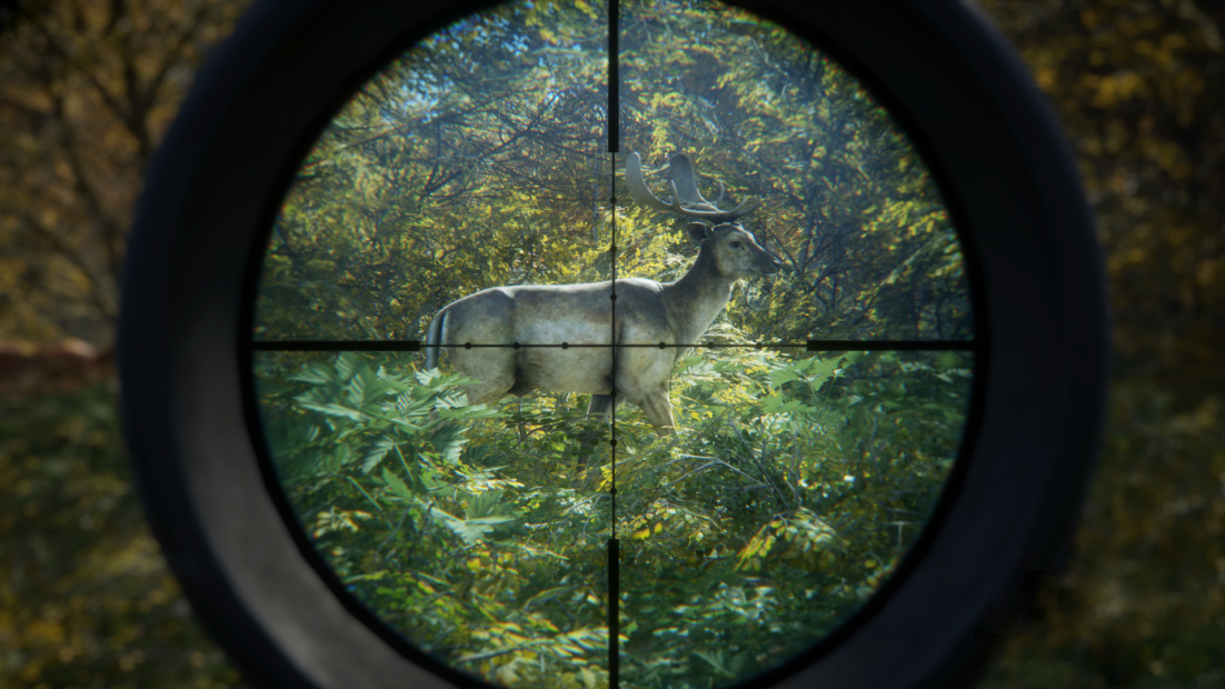 A deer with antlers stands in the forest, viewed through the crosshairs of a rifle scope.