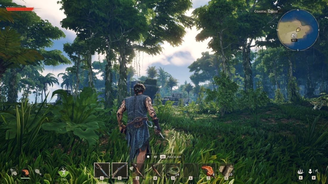 Windrose tips: Game character seen from behind in a dense green forest with tall trees and cloudy sky