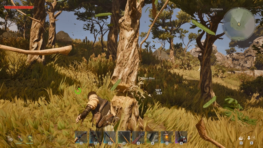 Windrose Fishing Guide: Game character in a grassy landscape with several slender trees including a distinctive Divi-Divi tree with a bent trunk